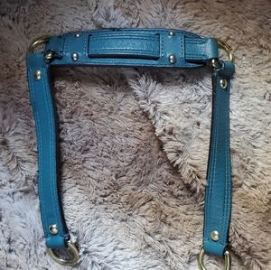 Ashley strap coach